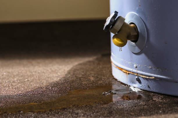 Best Flood damage cleanup  in Staic, CA