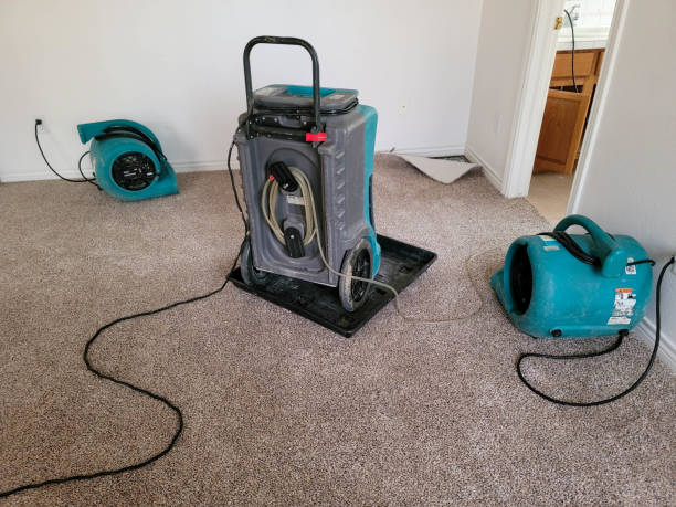 Best 24-hour water damage restoration  in Staic, CA