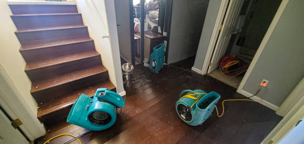 Best Water damage restoration near me  in Staic, CA
