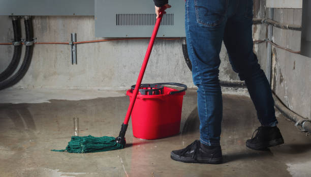 Best Water damage cleanup near me  in Staic, CA