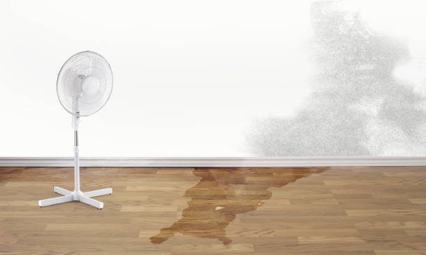 Best Emergency water damage restoration  in Staic, CA