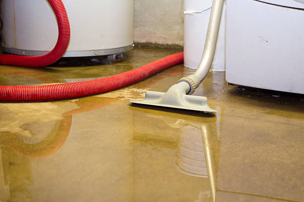 Best Ceiling water damage repair  in Staic, CA
