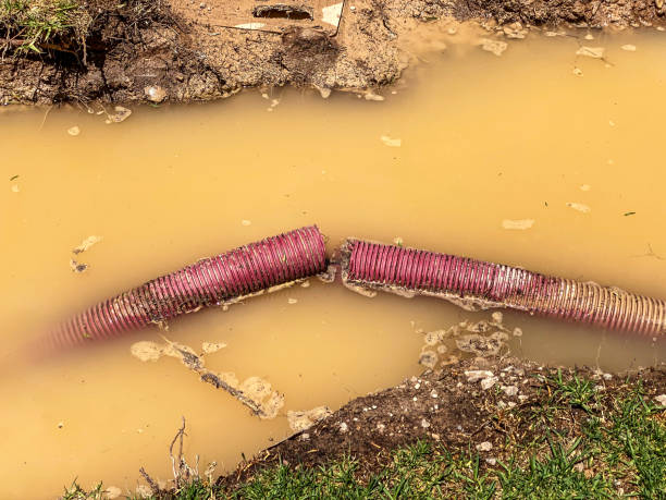 Best Basement water damage restoration  in Staic, CA